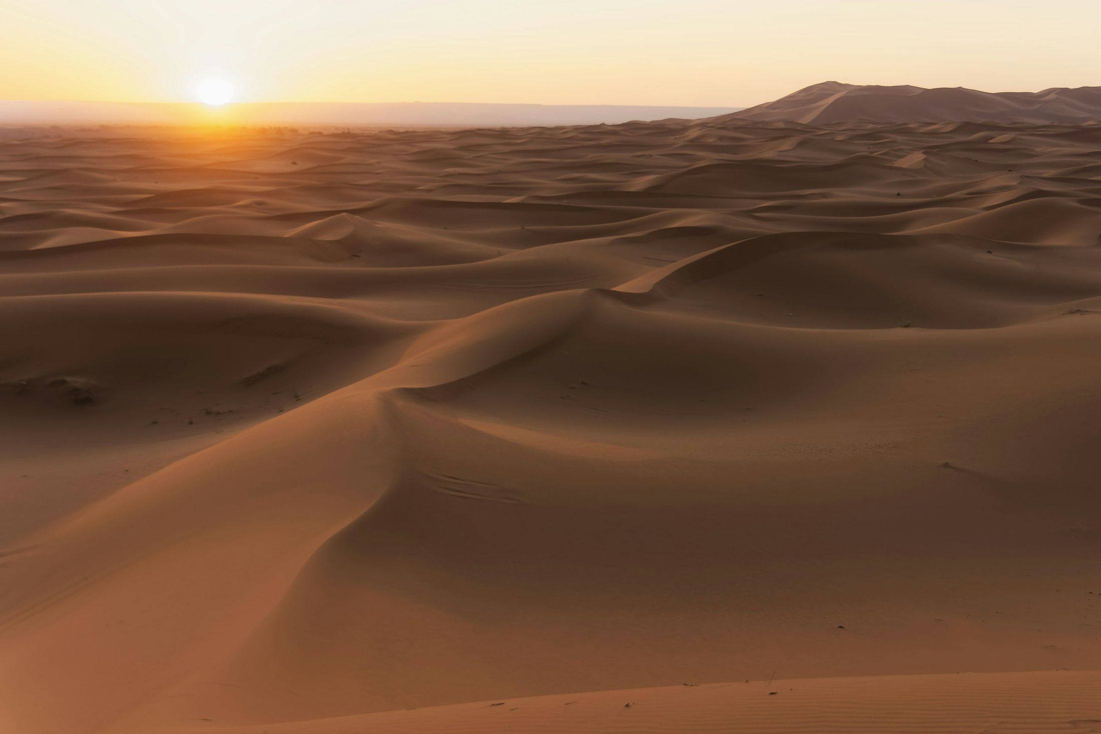 Smooth, rippled dunes of Erg Chebbi stretching to the horizon at sunrise